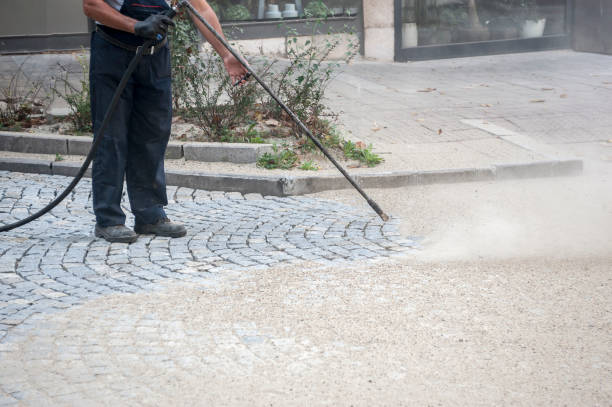 Animal Enclosure Cleaning in Morton Grove, IL